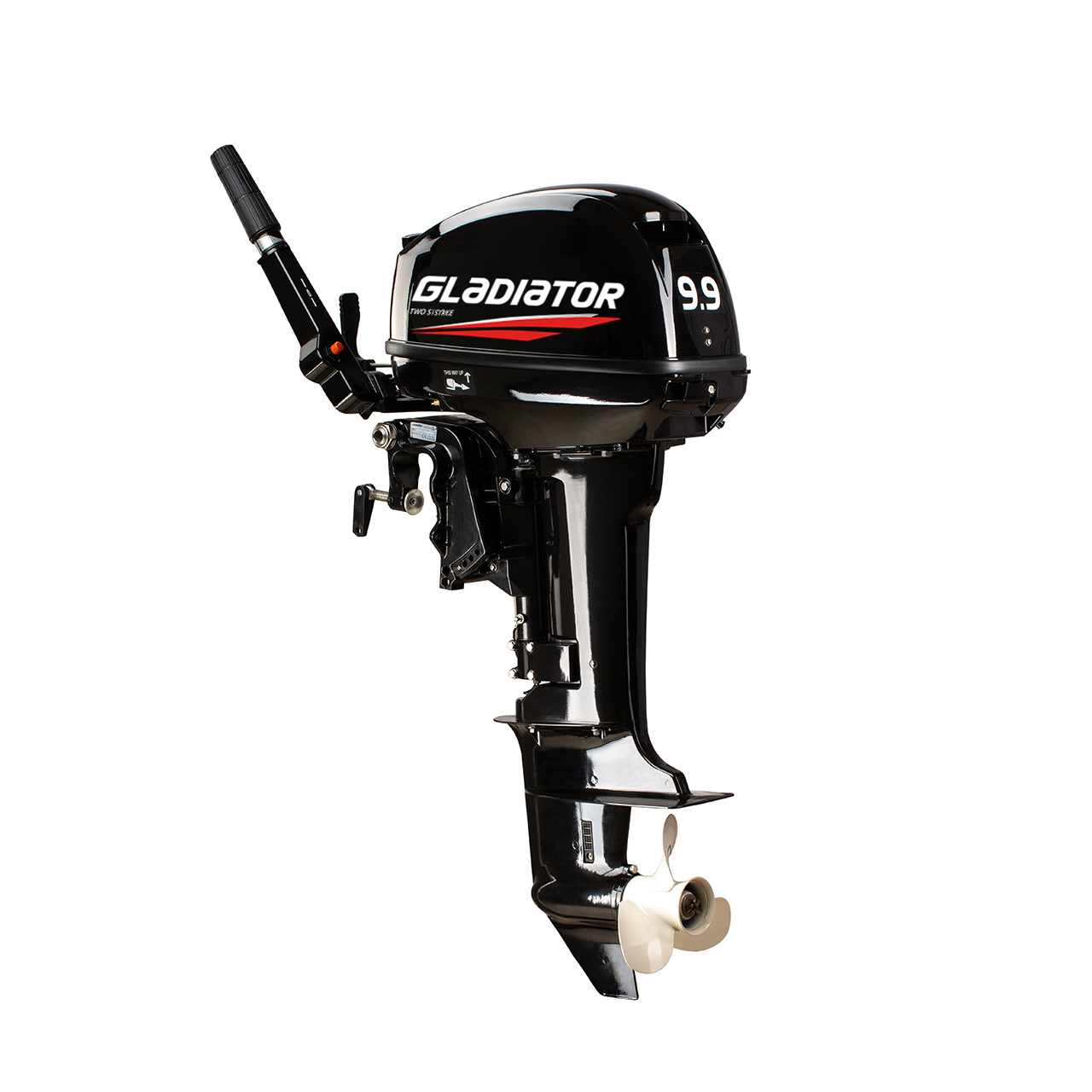 ЛОДОЧНЫЙ МОТОР GLADIATOR G9.9FHS в Ноябрьске