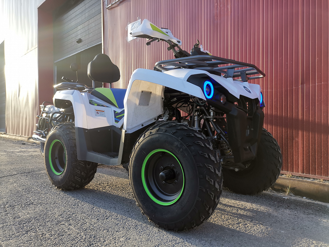 Квадроцикл PROMAX RENEGADE 280 LUX (2025) в Ноябрьске