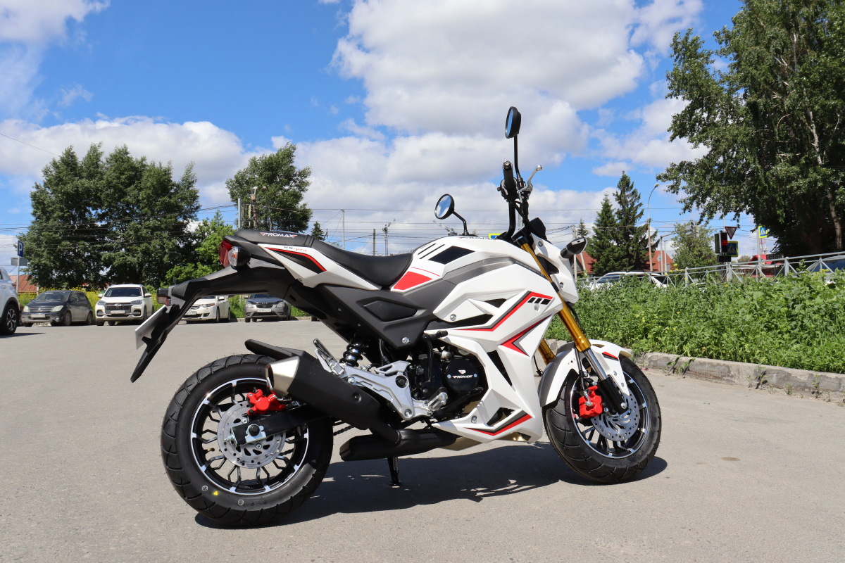 Мотоцикл PROMAX STRYKER 200(49) 2.0 в Ноябрьске