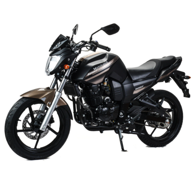 Мотоцикл MOTOLAND (МОТОЛЕНД) 300 BANDIT в Ноябрьске