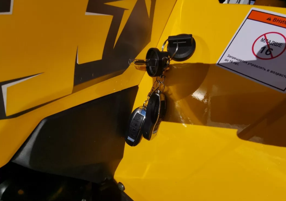 Квадроцикл MOTOLAND (МОТОЛЕНД) VOX200 WILD TRACK X PRO (баланс. вал) в Ноябрьске