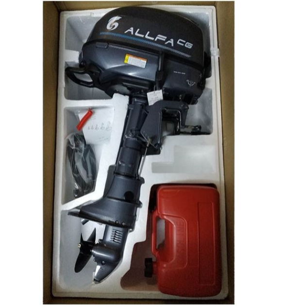 Лодочный мотор ALLFA CG F6 в Ноябрьске