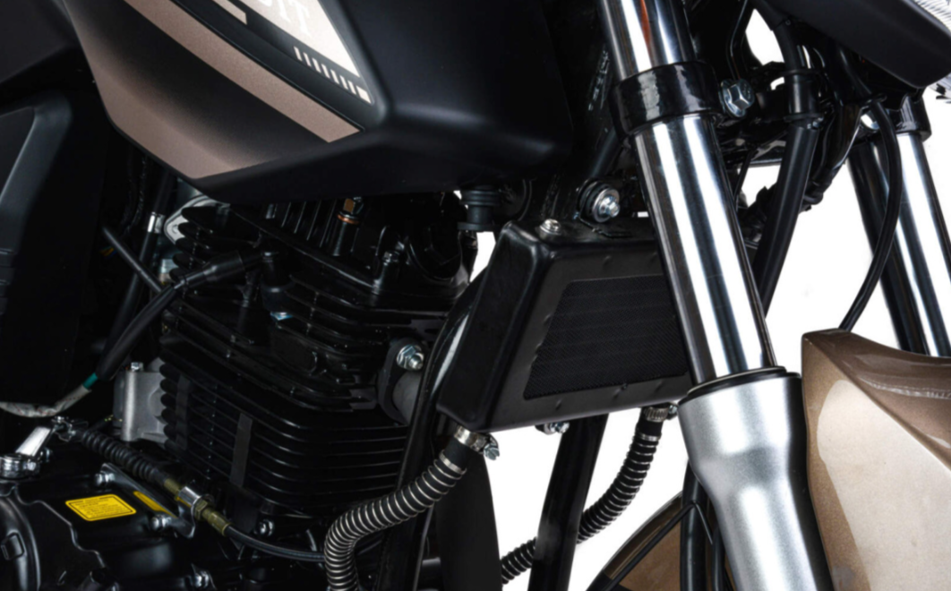 Мотоцикл MOTOLAND (МОТОЛЕНД) 300 BANDIT в Ноябрьске