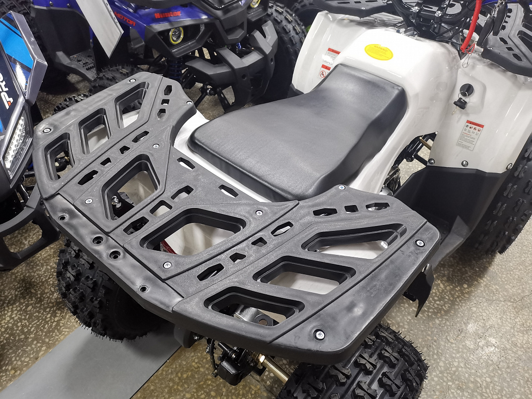 Квадроцикл PROMAX WILD 175 LUX в Ноябрьске