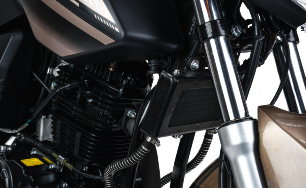 Мотоцикл MOTOLAND (МОТОЛЕНД) 300 BANDIT в Ноябрьске