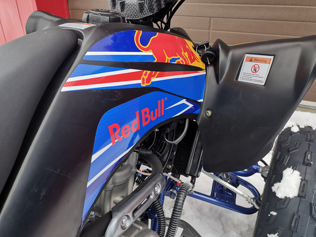 Квадроцикл PROMAX RAPTOR 300 NEW RedBull в Ноябрьске