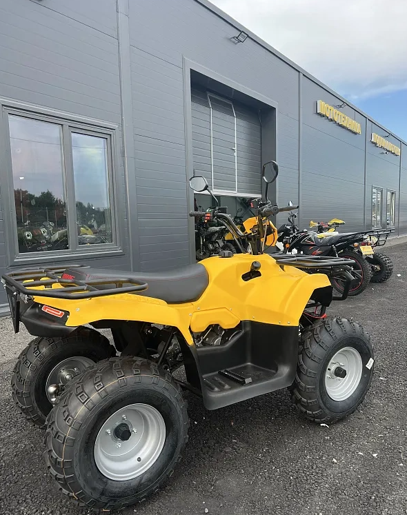 КВАДРОЦИКЛ IRBIS ATV 250  в Ноябрьске