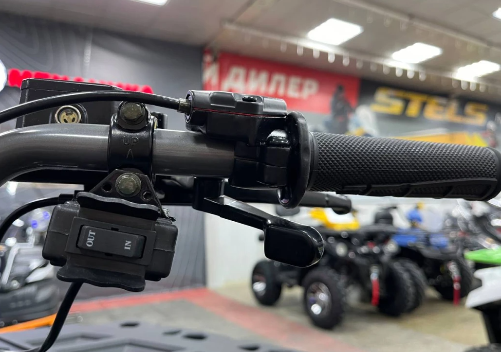 Квадроцикл PROMAX RENEGADE 300 LONG WINCH PRO (2025) в Ноябрьске