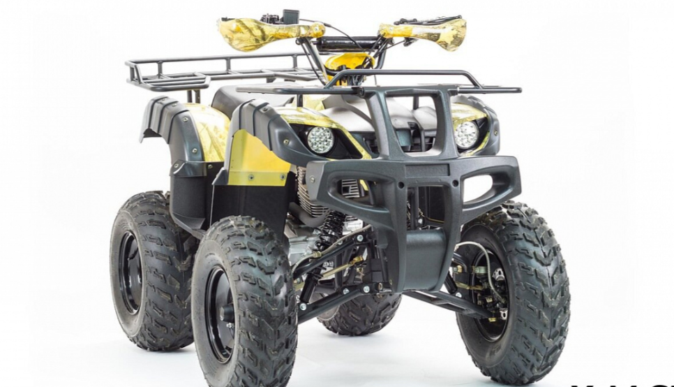 Квадроцикл MOTOLAND (МОТОЛЕНД) 250 ADVENTURE в Ноябрьске