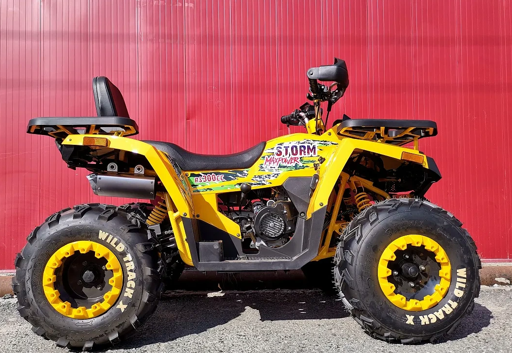 Квадроцикл PROMAX STORM 280 LUX в Ноябрьске