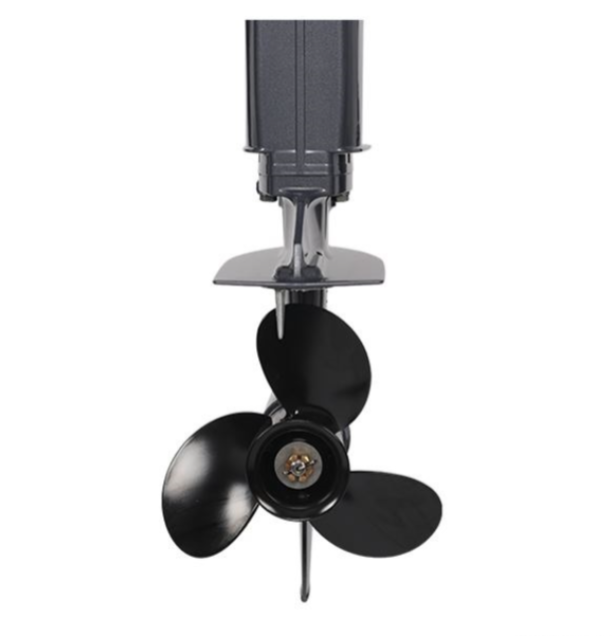 Лодочный мотор ALLFA CG Т40FW S в Ноябрьске