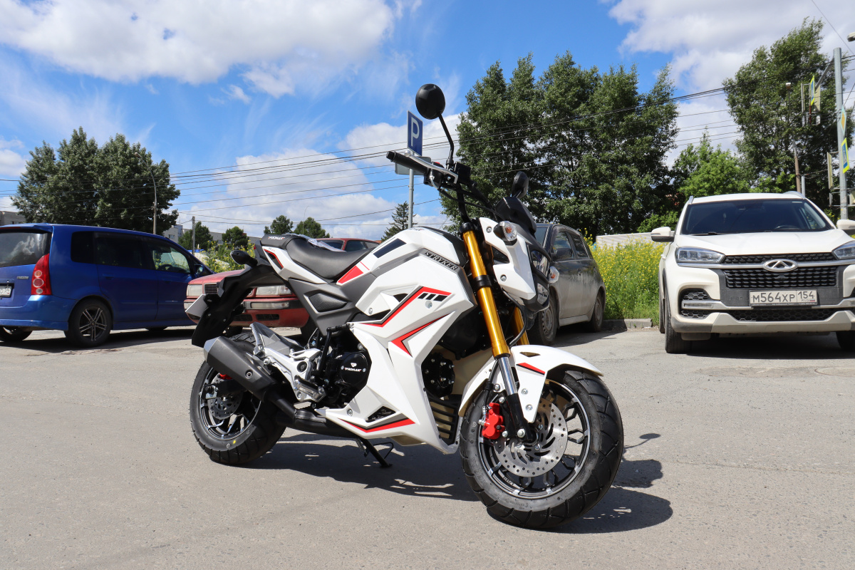 Мотоцикл PROMAX STRYKER 200(49) 2.0 в Ноябрьске