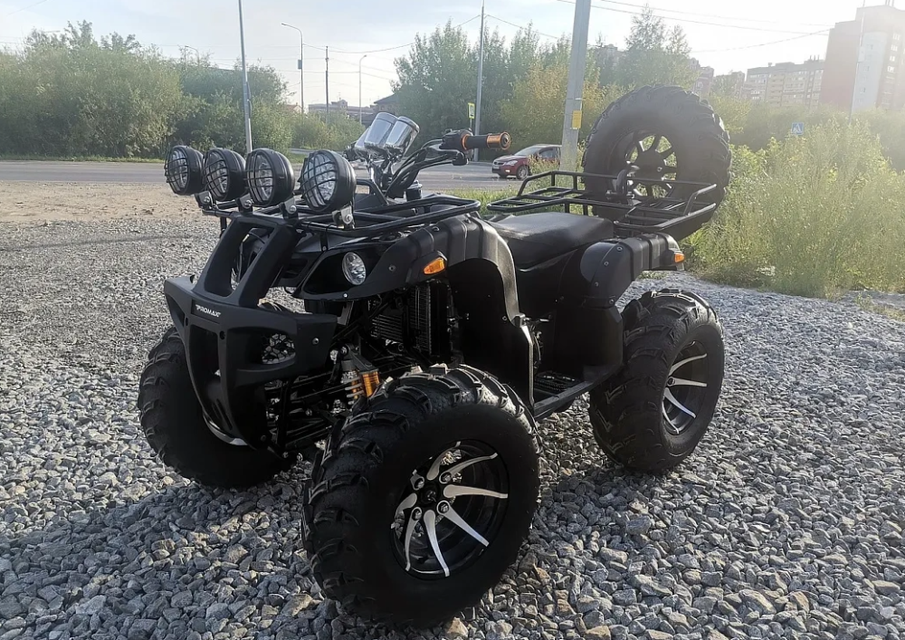 Квадроцикл PROMAX LEO 300 Max (кардан) в Ноябрьске