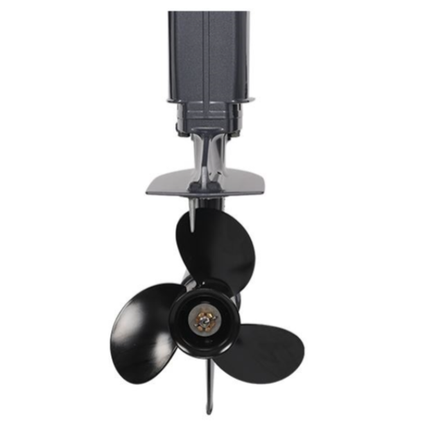 Лодочный мотор ALLFA CG Т40FWT S в Ноябрьске