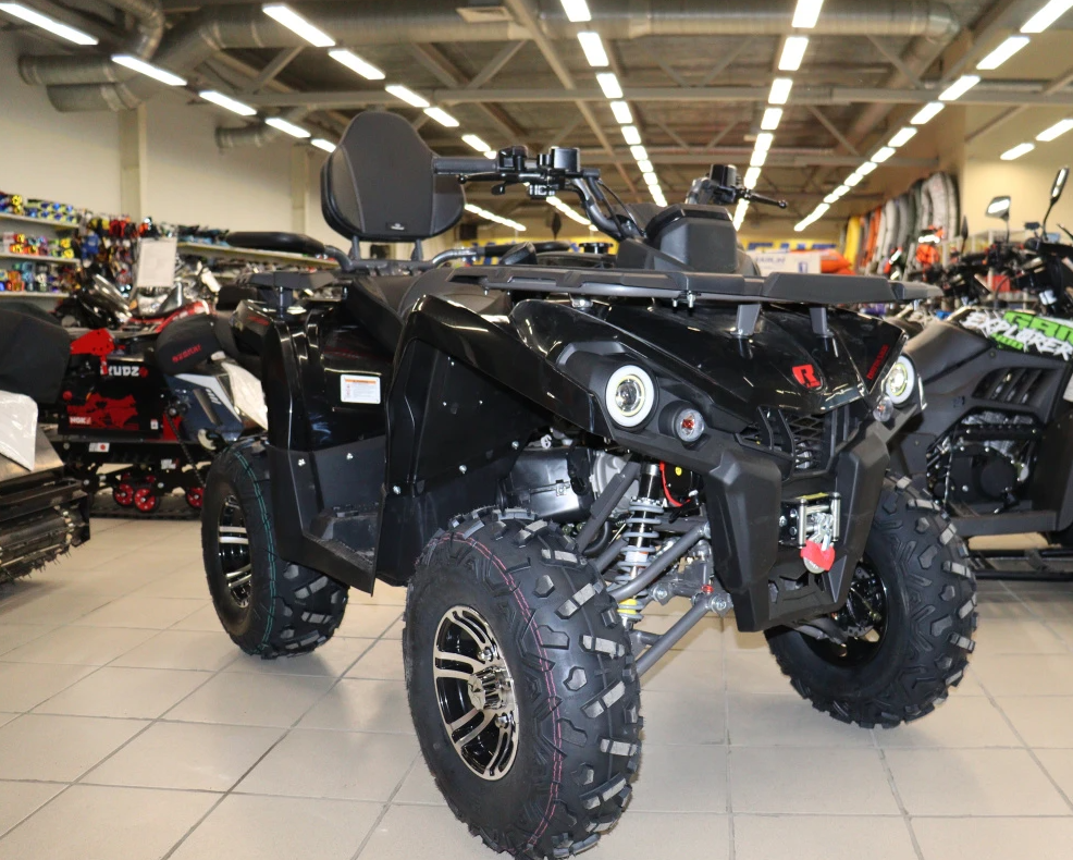 Квадроцикл PROMAX RENEGADE 300 LONG WINCH PRO (2025) в Ноябрьске