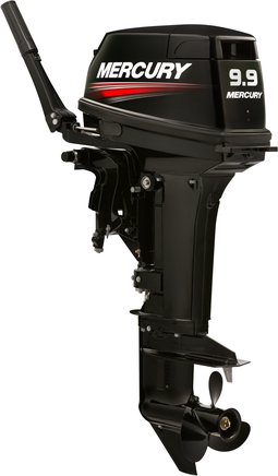 ЛОДОЧНЫЙ МОТОР MERCURY 9.9 MH TMC 247 CC в Ноябрьске
