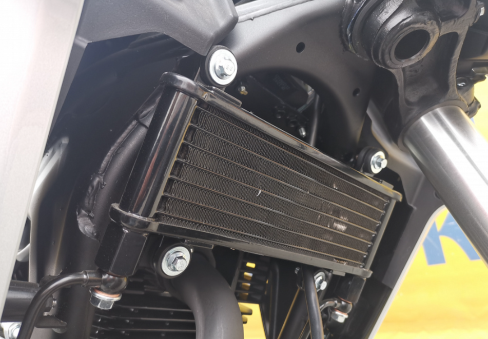 Мотоцикл MOTOLAND (МОТОЛЕНД) 250 CB250 (172FMM-5/PR250) (2022 г.) в Ноябрьске