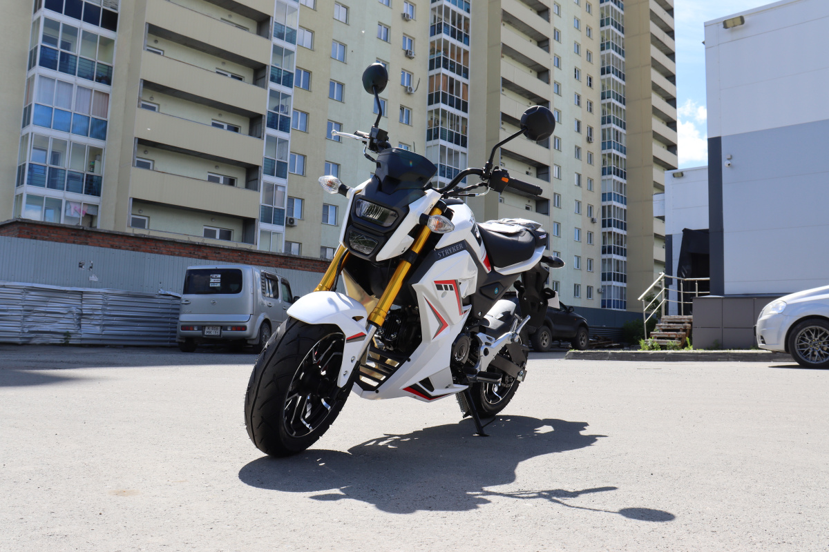 Мотоцикл PROMAX STRYKER 200(49) 2.0 в Ноябрьске
