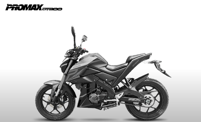 Мотоцикл PROMAX MT300 в Ноябрьске