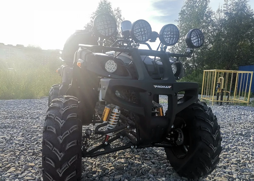 Квадроцикл PROMAX LEO 300 Max (кардан) в Ноябрьске
