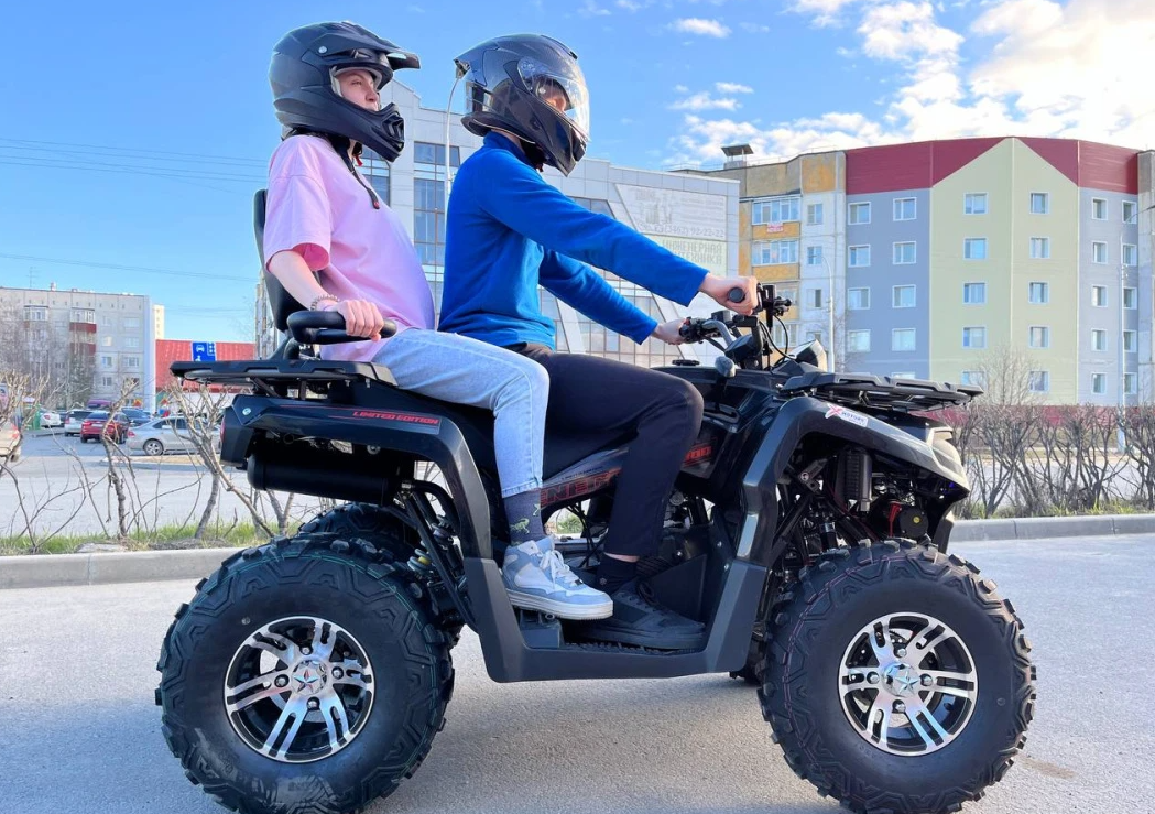 Квадроцикл PROMAX RENEGADE 300 LONG WINCH PRO (2025) в Ноябрьске