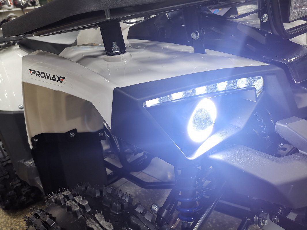 Квадроцикл PROMAX WILD 175 LUX в Ноябрьске