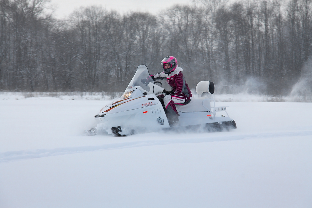 Снегоход Русская механика РМ TAYGA PATRUL 551 SWT в Ноябрьске