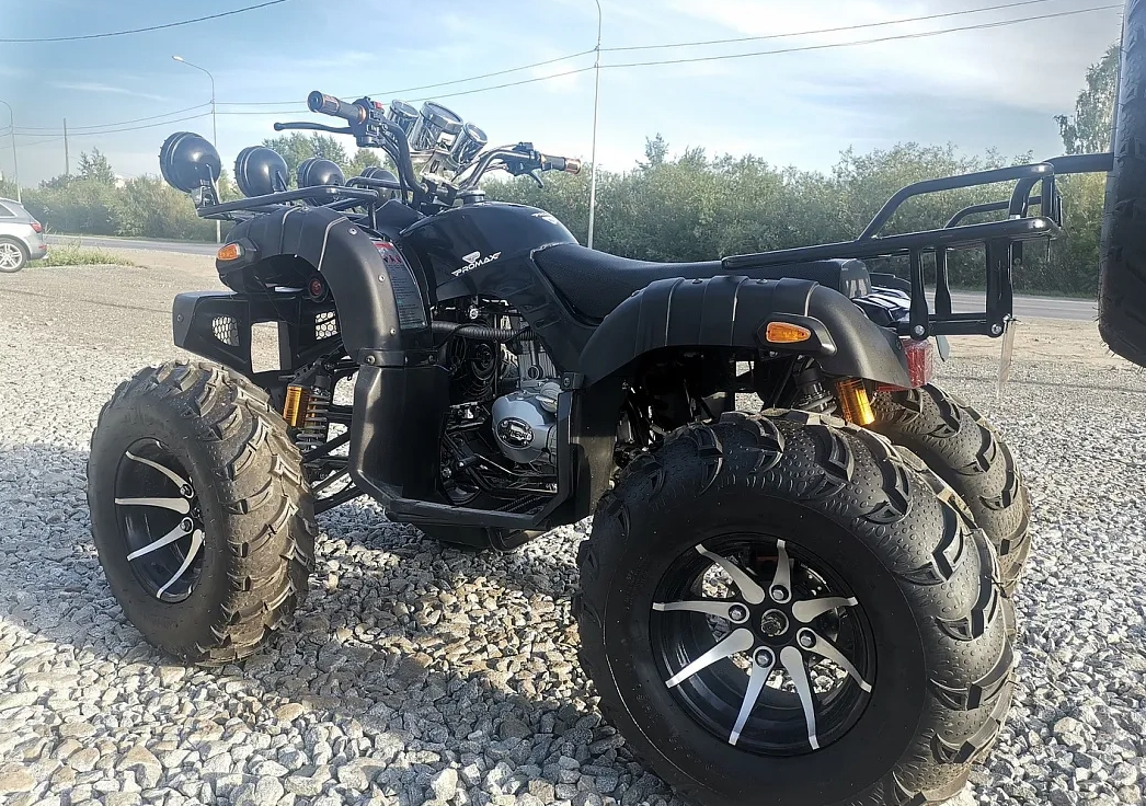 Квадроцикл PROMAX LEO 300 Max (кардан) в Ноябрьске