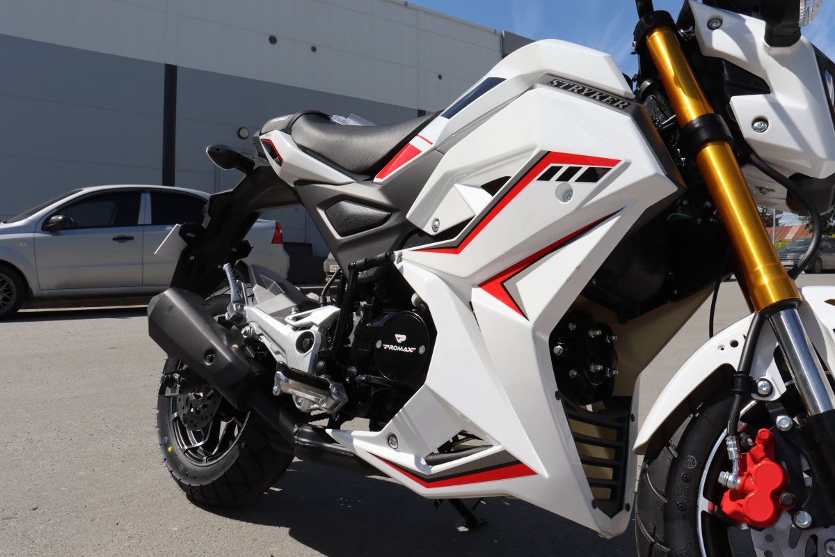 Мотоцикл PROMAX STRYKER 200(49) 2.0 в Ноябрьске