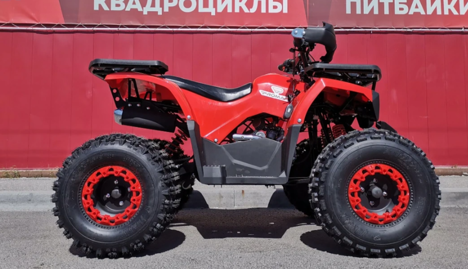 Квадроцикл PROMAX WILD 175 BASIC в Ноябрьске