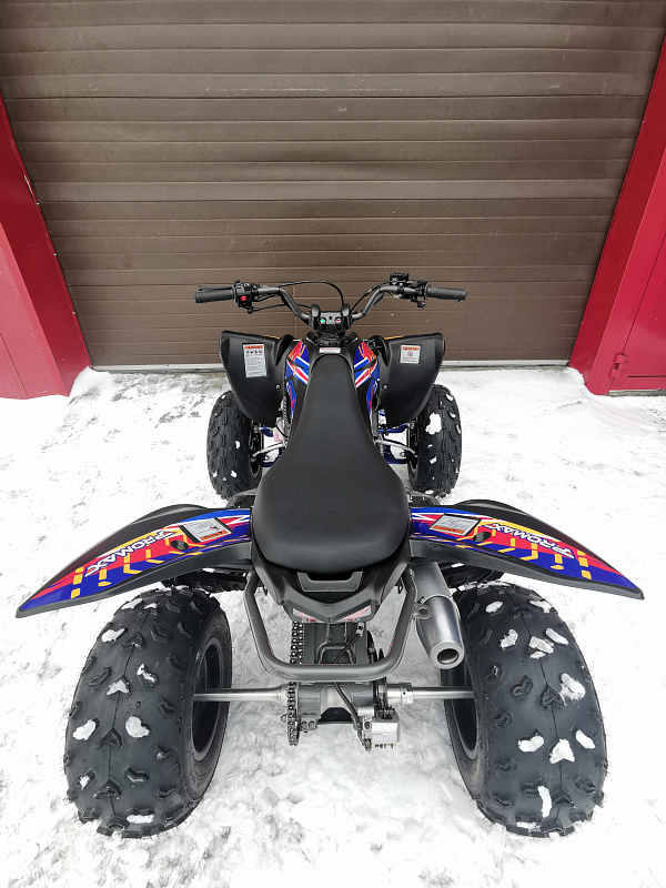 Квадроцикл PROMAX RAPTOR 300 NEW RedBull в Ноябрьске