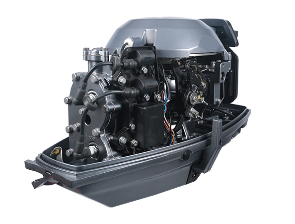 ЛОДОЧНЫЙ МОТОР ALLFA CG T30 FW S в Ноябрьске