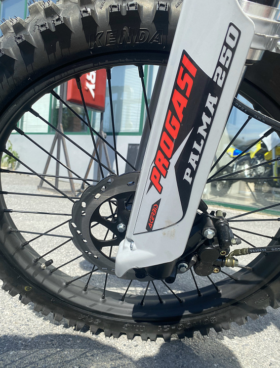 Мотоцикл Progasi PALMA 300 NEW (CB300F) в Ноябрьске