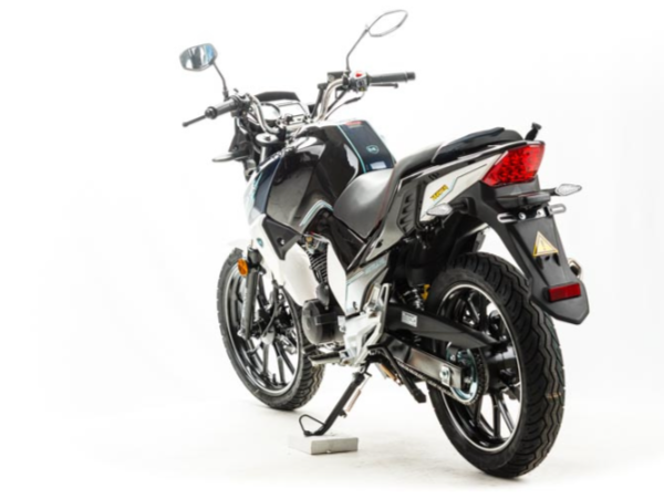 Мотоцикл MOTOLAND (МОТОЛЕНД) FIGHTER 250 в Ноябрьске