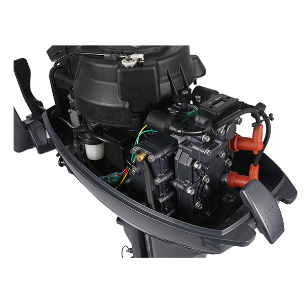 ЛОДОЧНЫЙ МОТОР ALLFA CG Т9,9 Limit в Ноябрьске