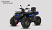 Квадроцикл PROMAX TAURUS 300 MAX-PRO LONG в Ноябрьске
