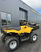 КВАДРОЦИКЛ IRBIS ATV 250  в Ноябрьске
