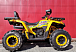 Квадроцикл PROMAX STORM 280 LUX в Ноябрьске