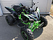 Квадроцикл PROMAX RAPTOR 300 NEW Monster в Ноябрьске