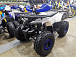 Квадроцикл PROMAX WILD 175 LUX в Ноябрьске