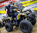 Квадроцикл PROMAX ATV 250 (2025) в Ноябрьске
