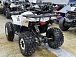Квадроцикл PROMAX WILD 2.0 190 LUX в Ноябрьске