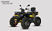 Квадроцикл PROMAX TAURUS 300 MAX-PRO LONG в Ноябрьске